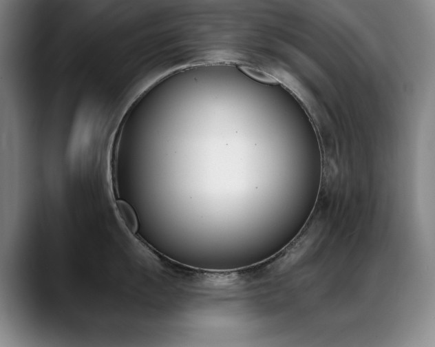 X0000089391055200706151219