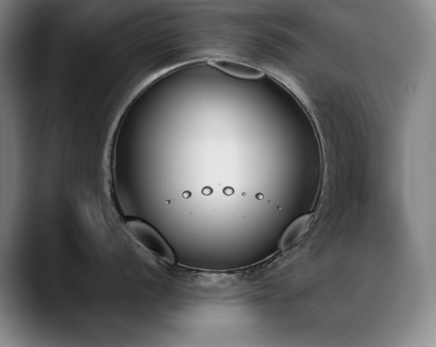 X0000089391056200706151219