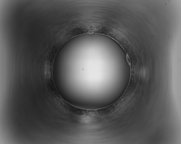 X0000089391058200706151218