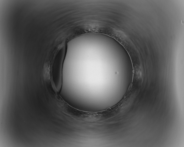 X0000089391060200706151218