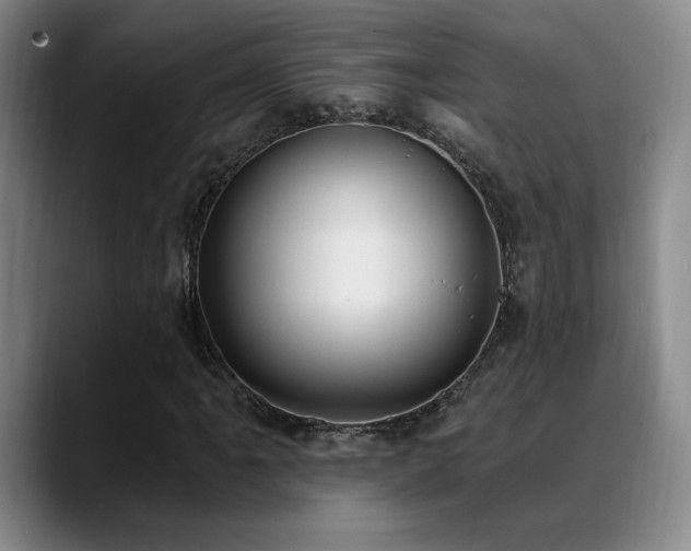 X0000089391061200706151218