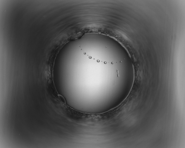 X0000089391062200706151218