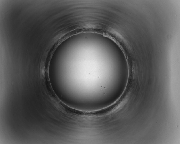 X0000089391065200706151218