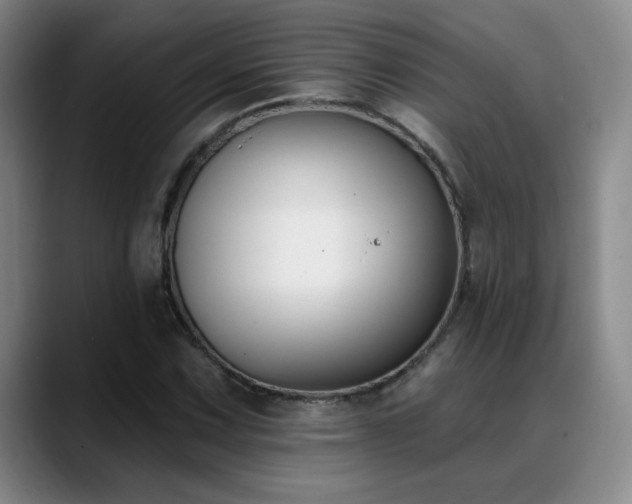 X0000089391067200706151218