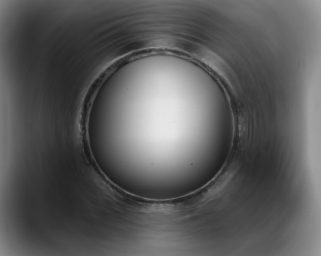 X0000089391068200706151218