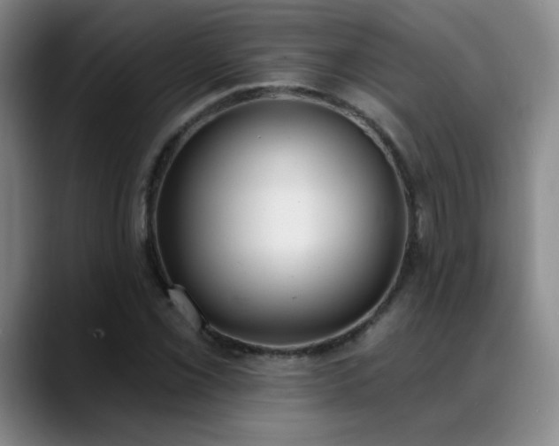 X0000089391069200706151218
