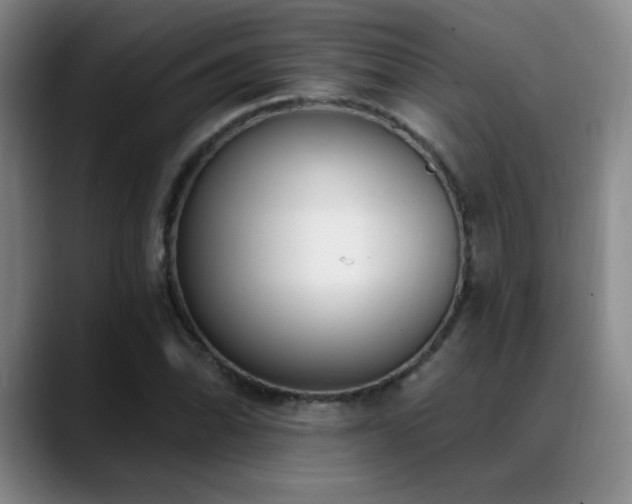 X0000089391070200706151218