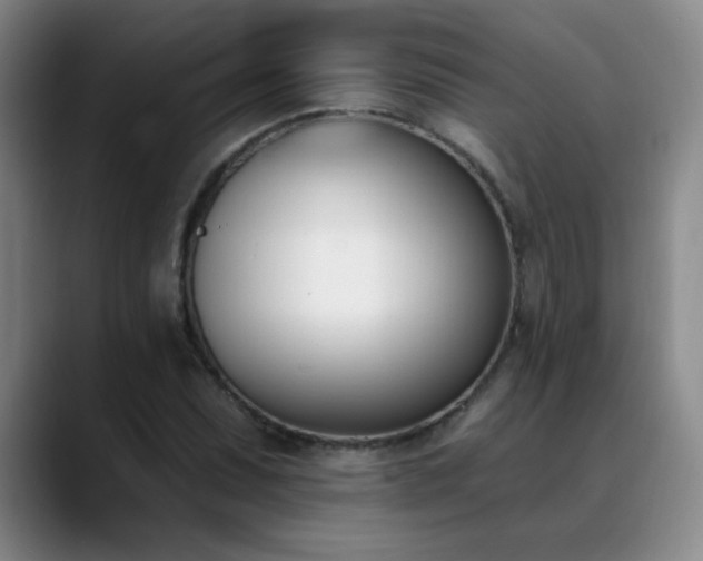 X0000089391071200706151218