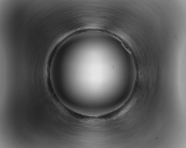 X0000089391077200706151218