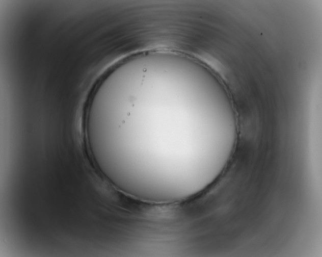 X0000089391078200706151218