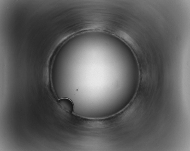 X0000089391079200706151218