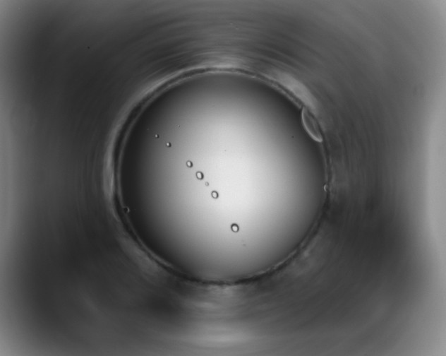 X0000089391080200706151218