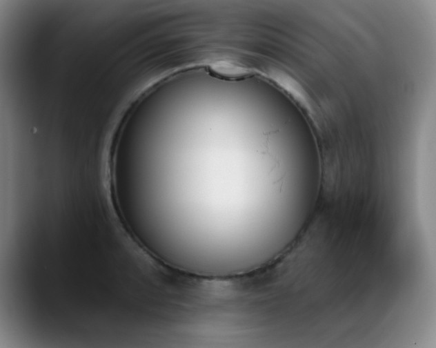 X0000089391088200706151218