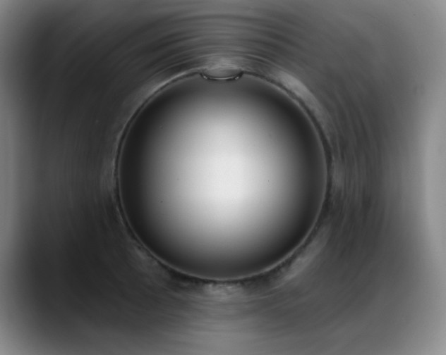 X0000089391089200706151218