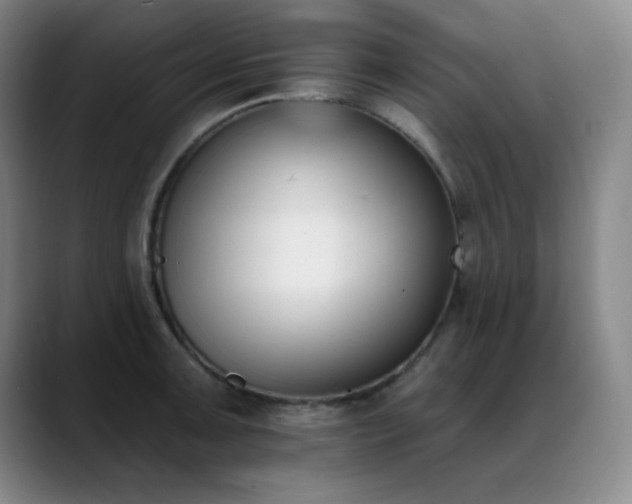 X0000089391091200706151218