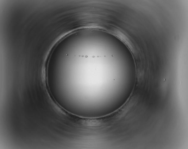 X0000089391092200706151218