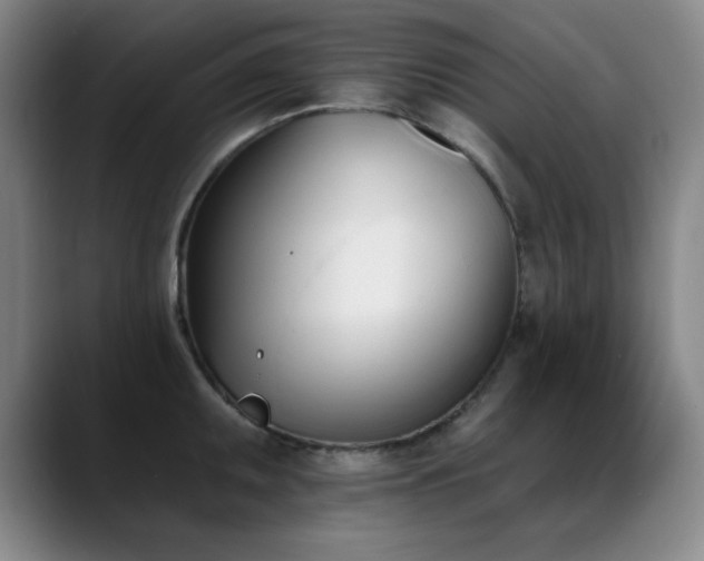 X0000089391095200706151218
