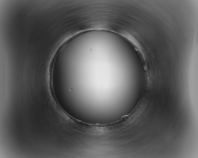 X0000089391096200706151218