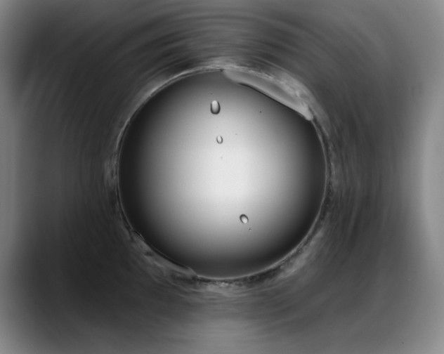 X0000089391097200706151218