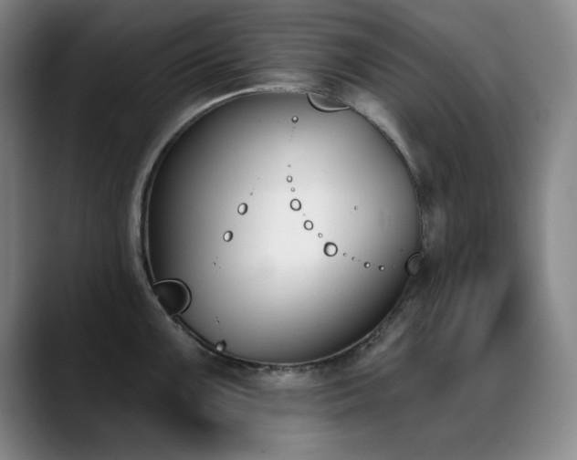 X0000089391099200706151218