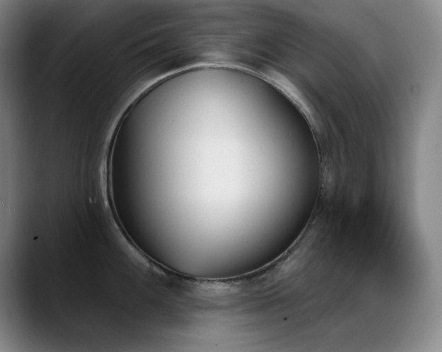 X0000089391100200706151218
