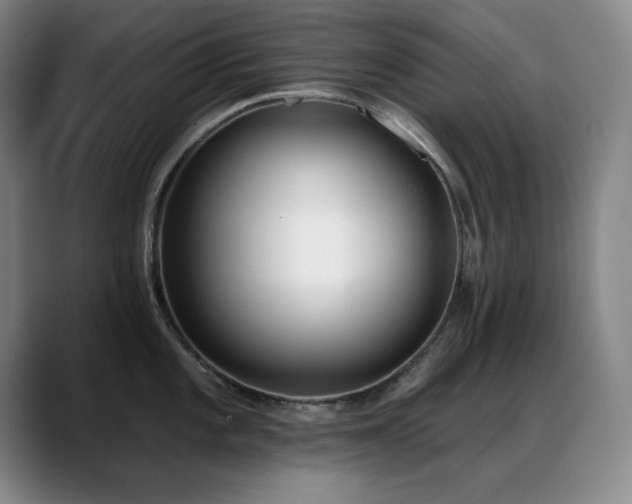 X0000089391101200706151218