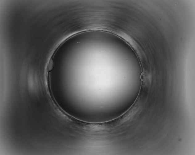 X0000089391102200706151218