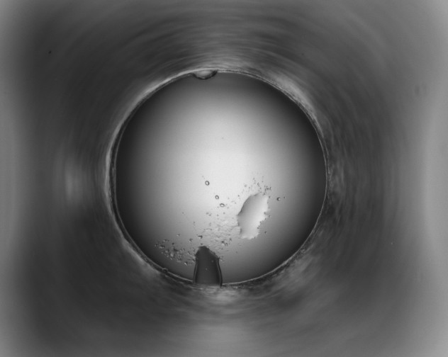 X0000089391103200706151218