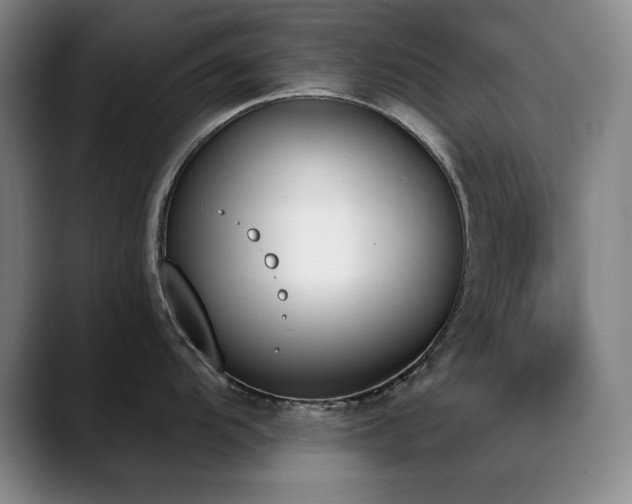 X0000089391104200706151218