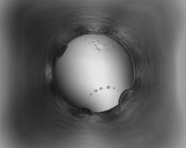 X0000089391106200706151217