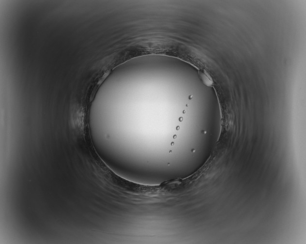 X0000089391108200706151217