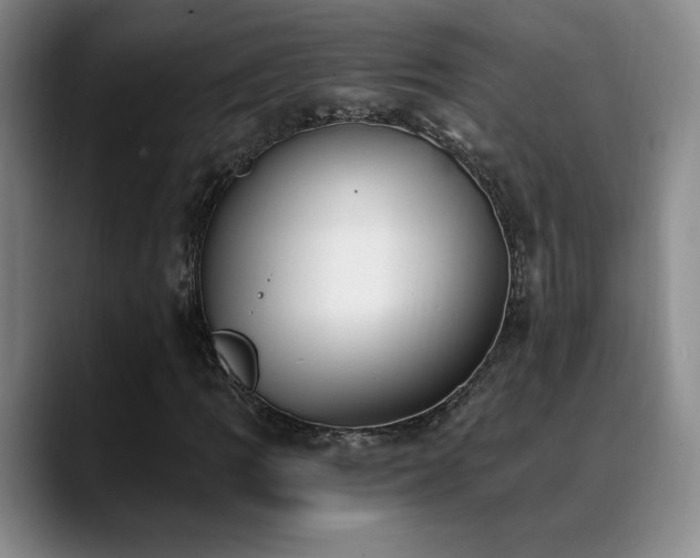 X0000089391109200706151217