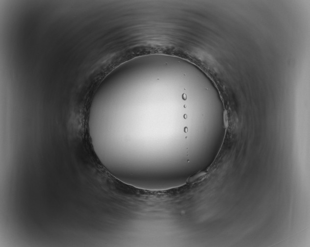 X0000089391110200706151217