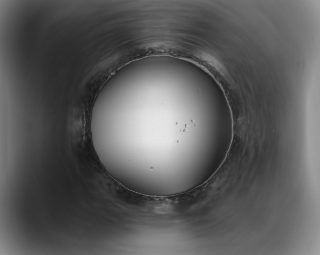 X0000089391111200706151217
