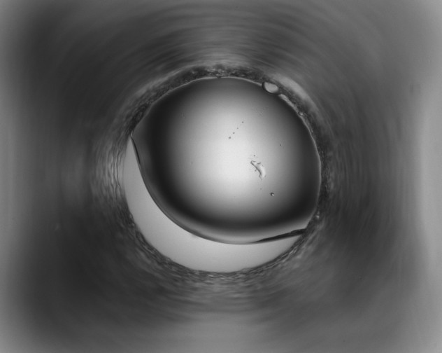 X0000089391112200706151217