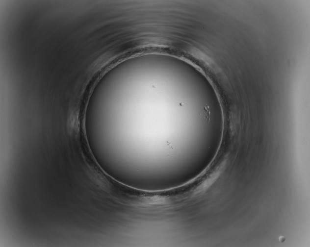 X0000089391113200706151217