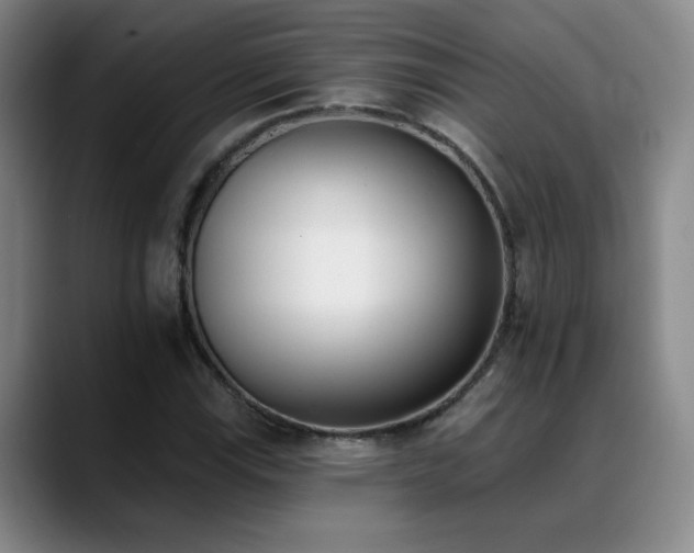 X0000089391115200706151217