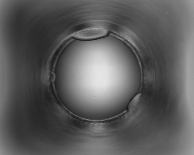 X0000089391116200706151217