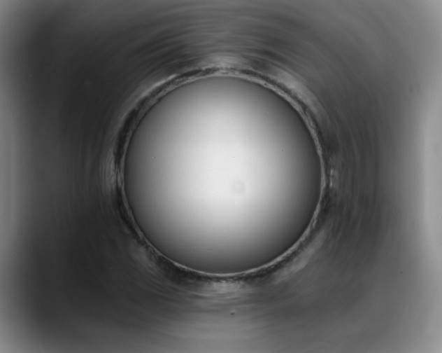 X0000089391117200706151217