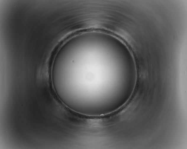 X0000089391118200706151217