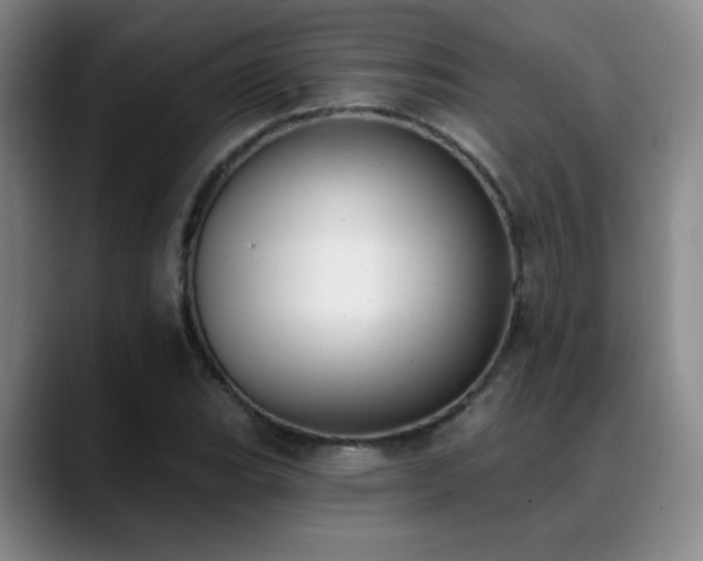X0000089391119200706151217