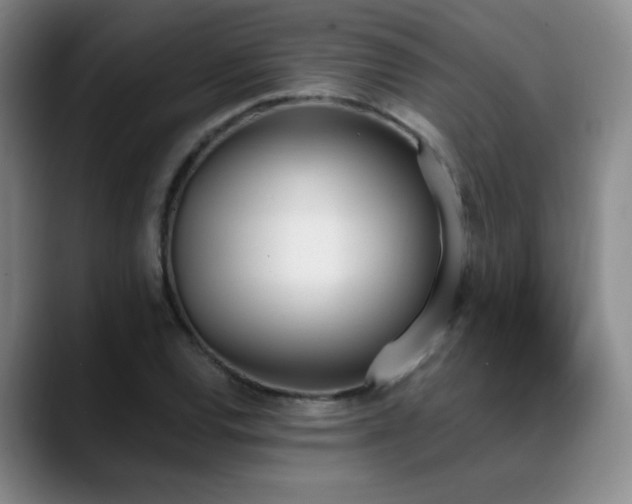X0000089391120200706151217