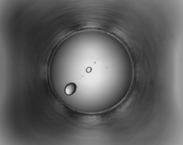 X0000089391121200706151217