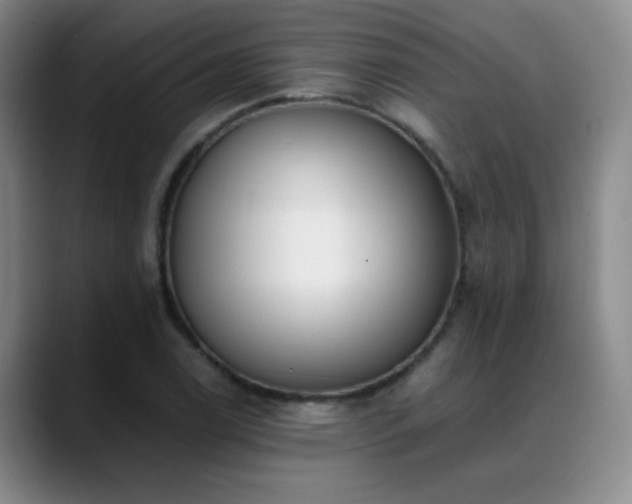 X0000089391122200706151217