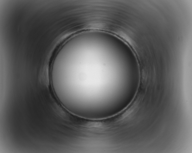 X0000089391123200706151217