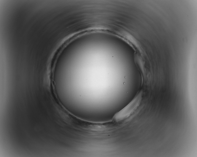X0000089391124200706151217