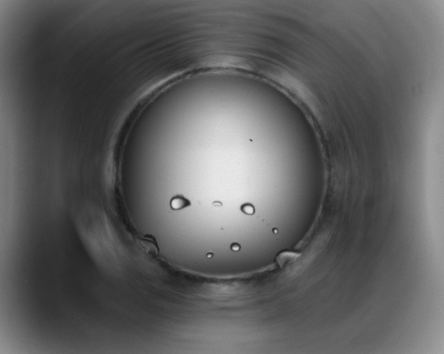 X0000089391125200706151217
