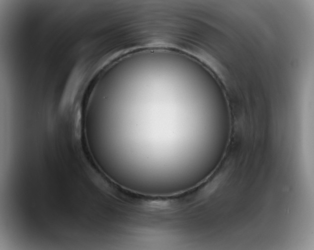 X0000089391126200706151217