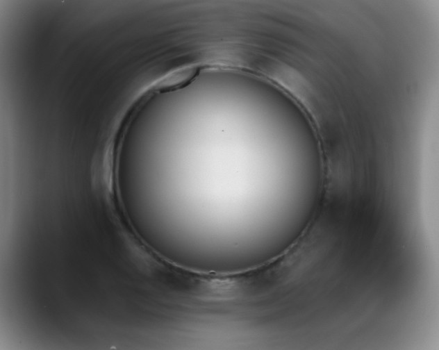 X0000089391128200706151217