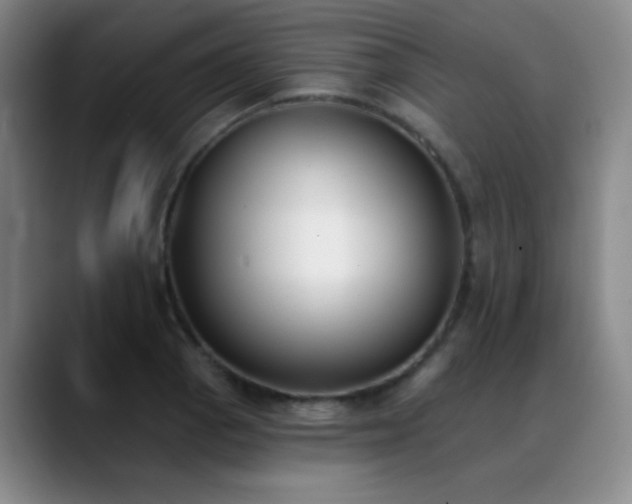 X0000089391129200706151217